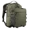 Tasmanian Tiger Assault Pack 12 Olive