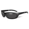 Wiley X P-17 Gray -Outdoor Equipment 0 1001 wiley x p 17 black ops smoke gray